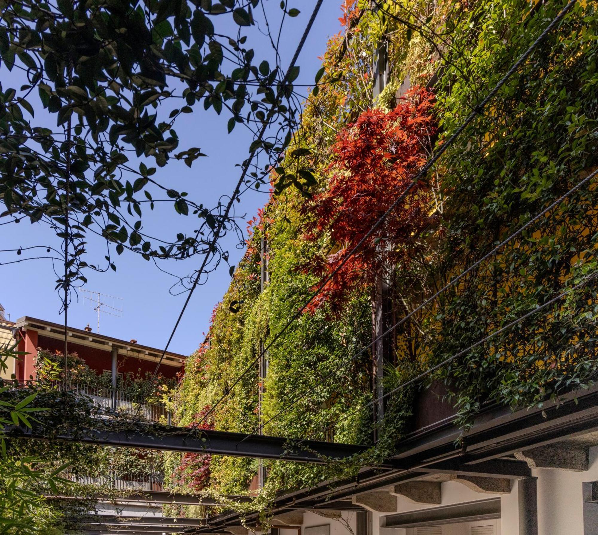 Residence Casa Coppa Appartamento Ivy Omegna Exterior photo